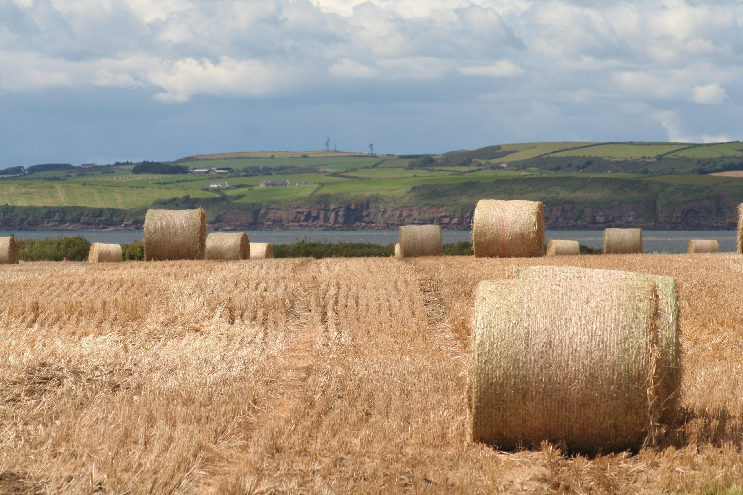 fields with bales of hay and green hills in the background