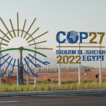 Read more about the article COP27: What Can We Expect for the Future of Nature