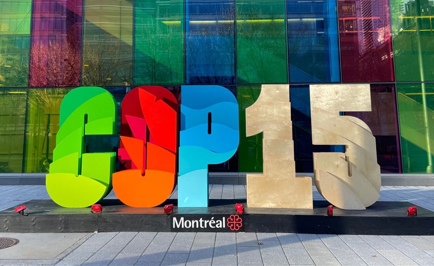 Image of colorful official COP15 sign in Montreal, Canada
