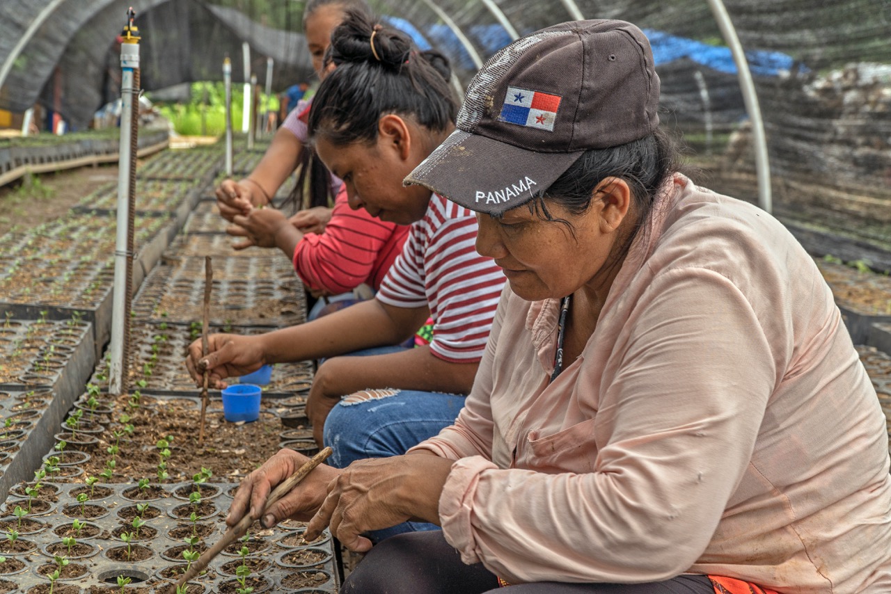 Close up image of local females planting seeds